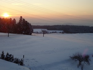 DSC01641